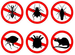 افضل شركة مكافحة حشرات في كمبوند جاردينيا في التجمع الخامس 01112555696