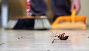 رقم احسن شركةابادة الصراصير في مصر الجديدة01112555696